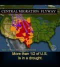 flyway area