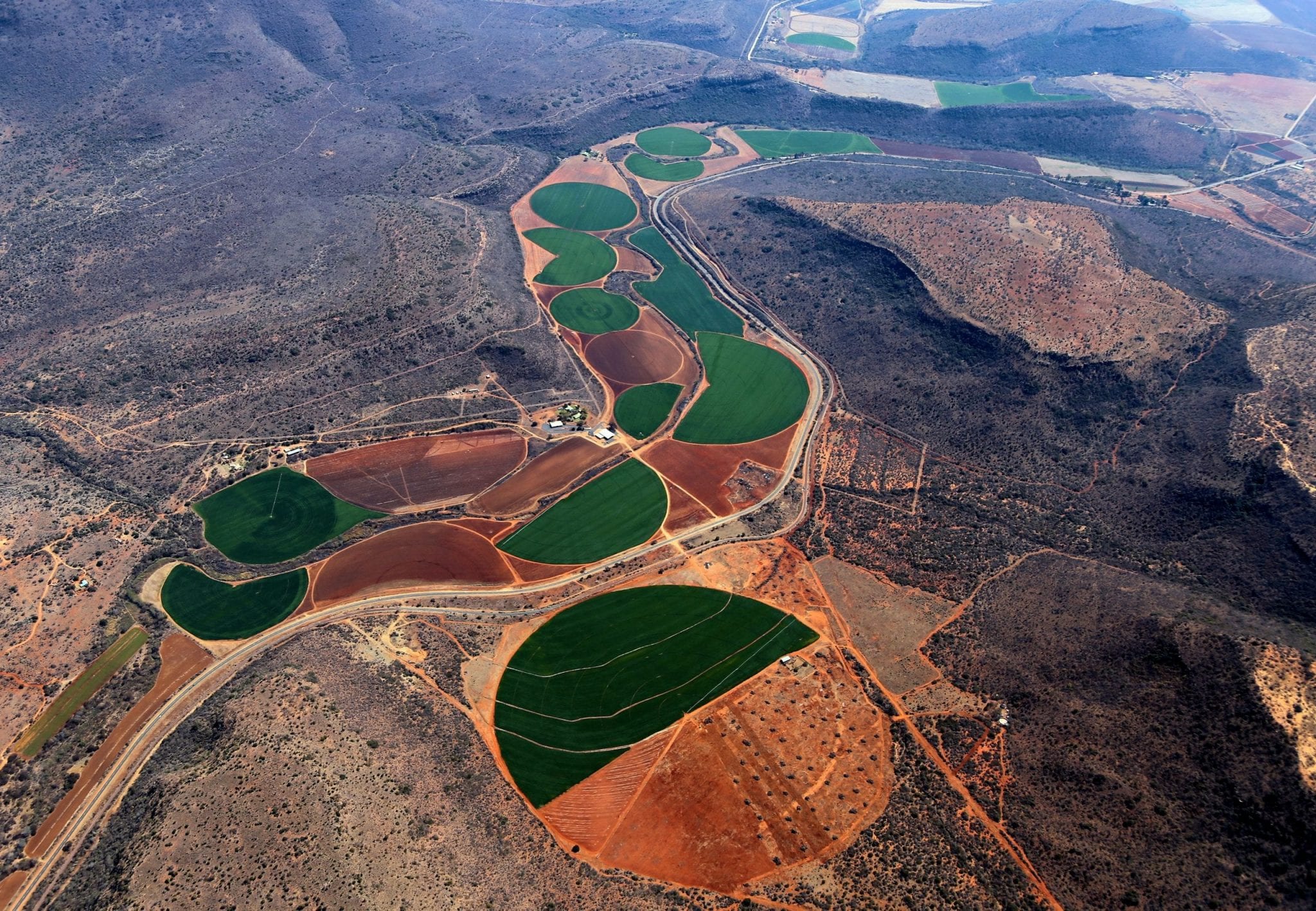 Irrigated fields