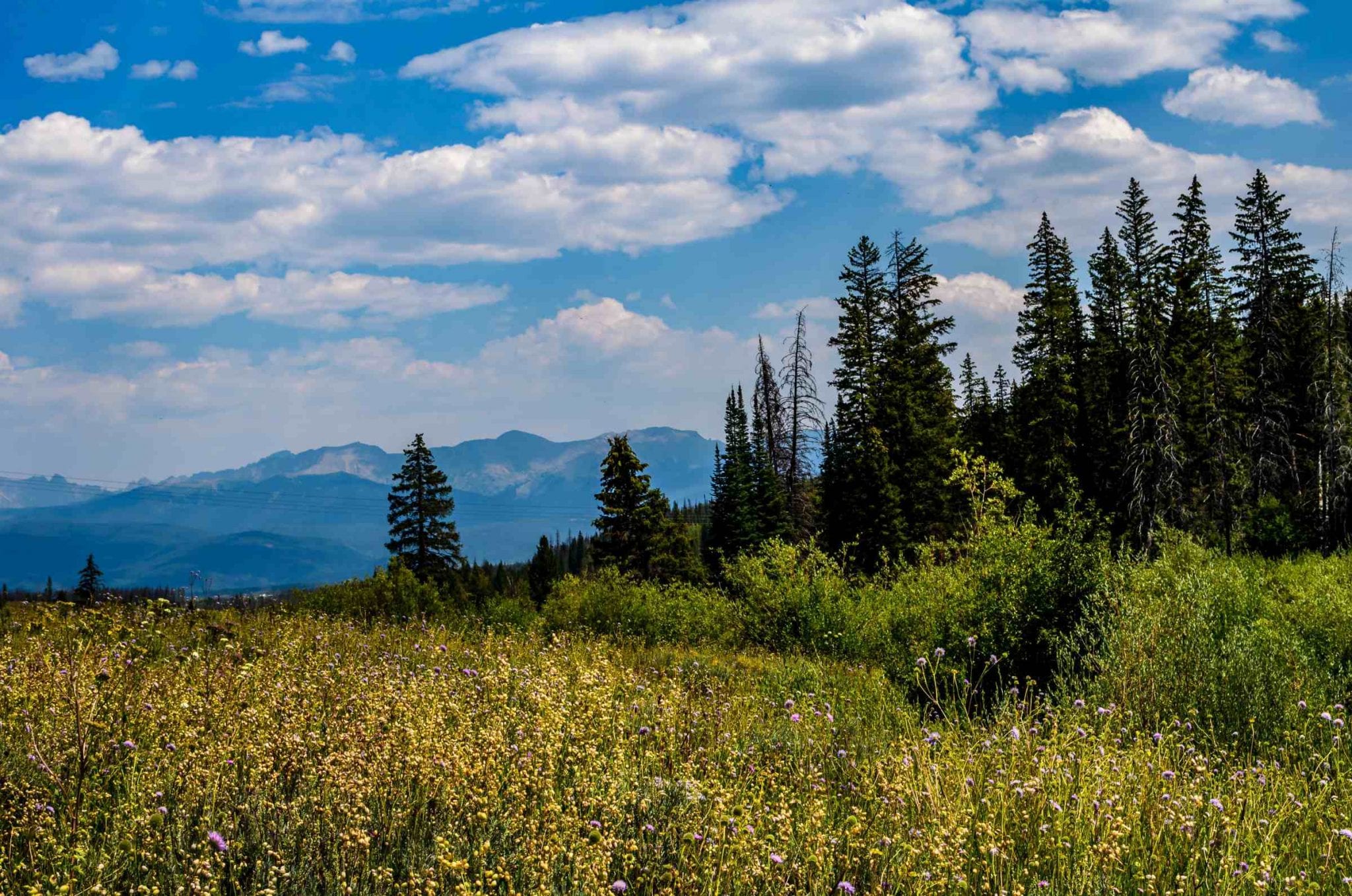 Colorado Nature Scene