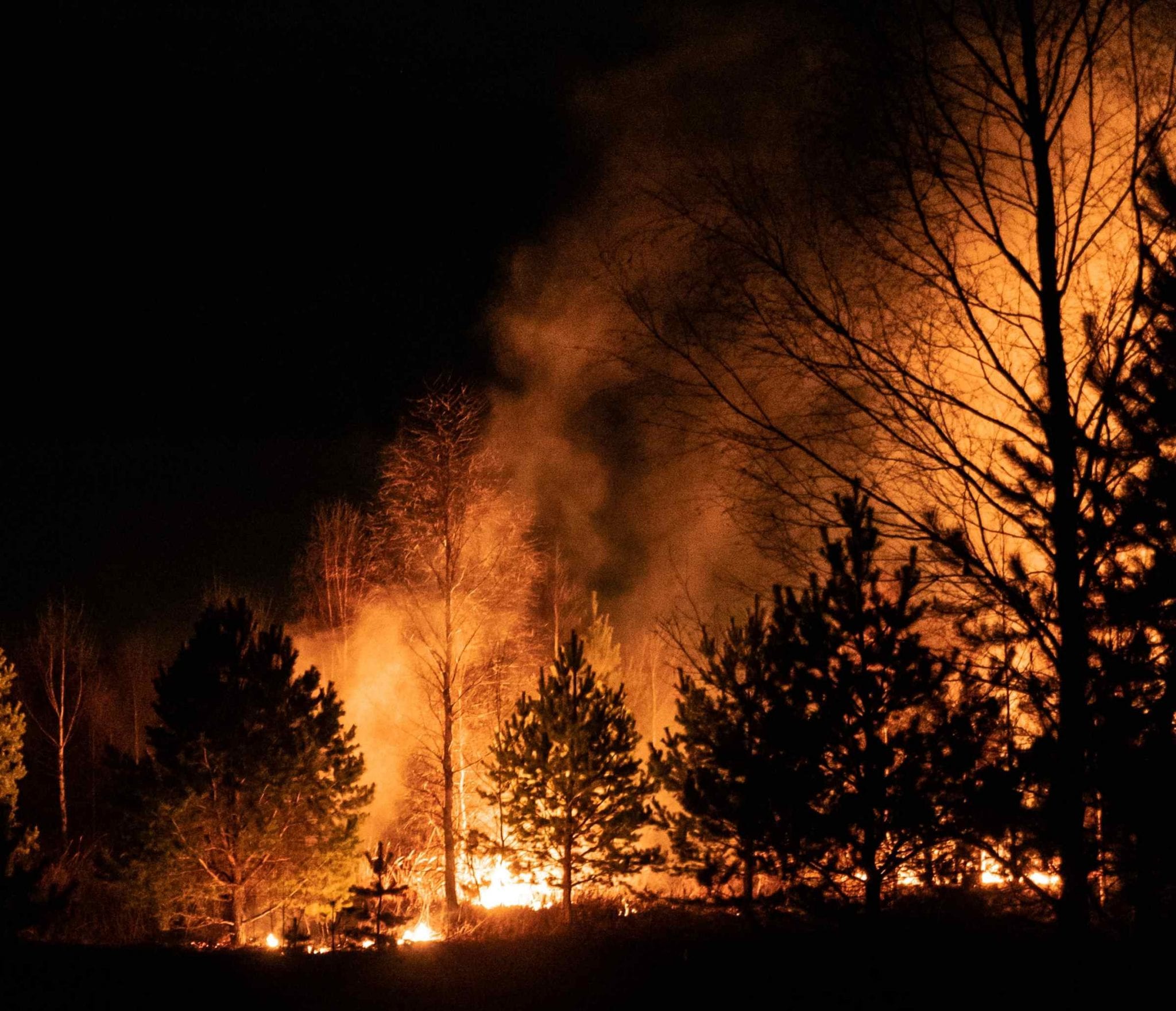 wildfire