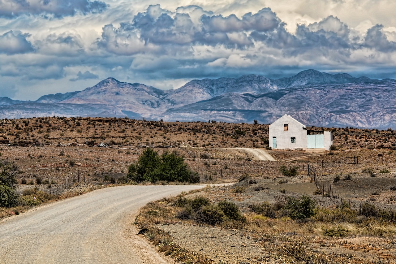 A desert scene