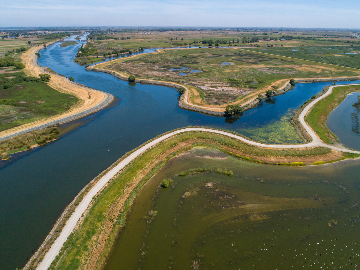 Dutch slough Tidal Marsh