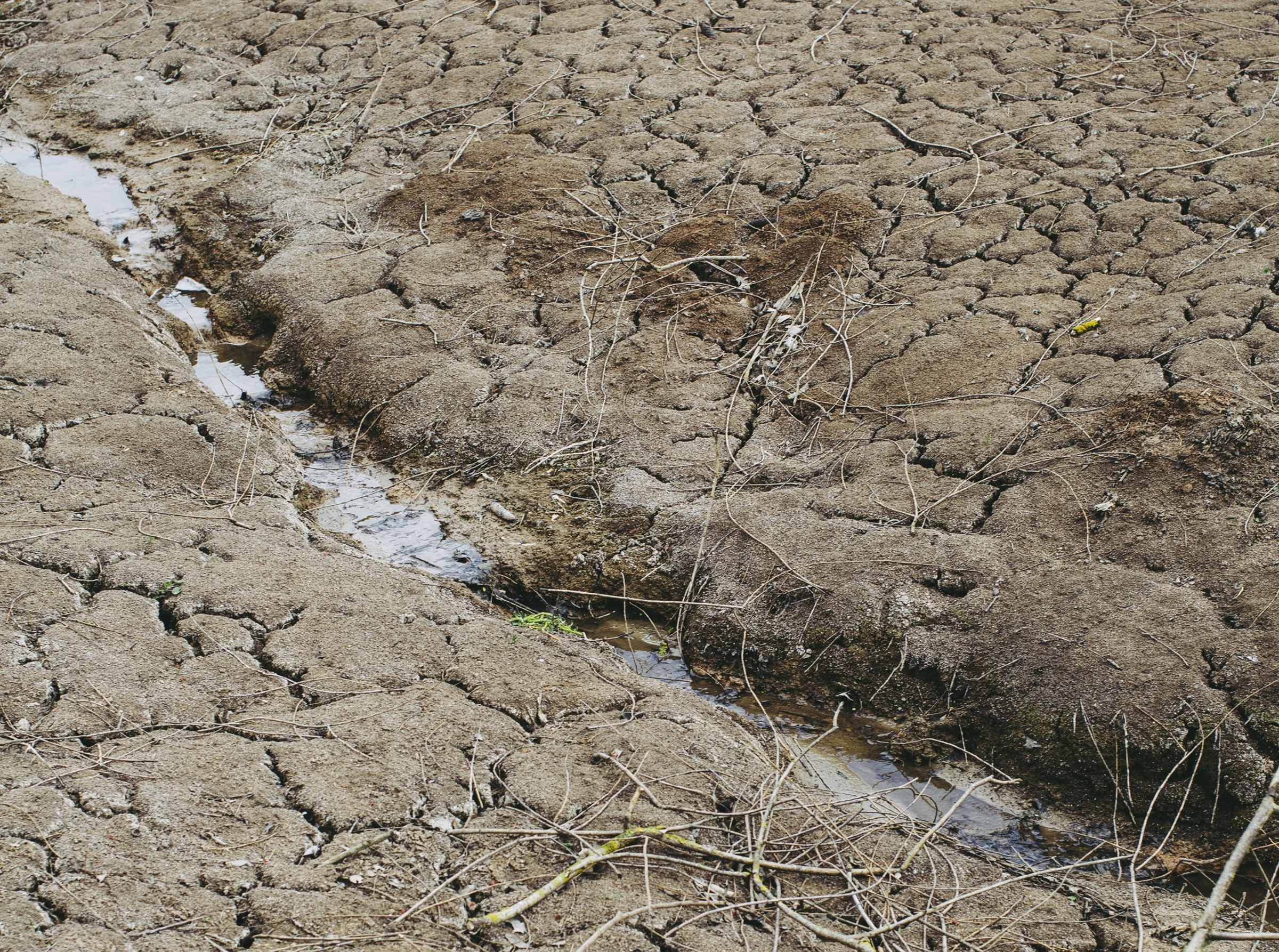 drought