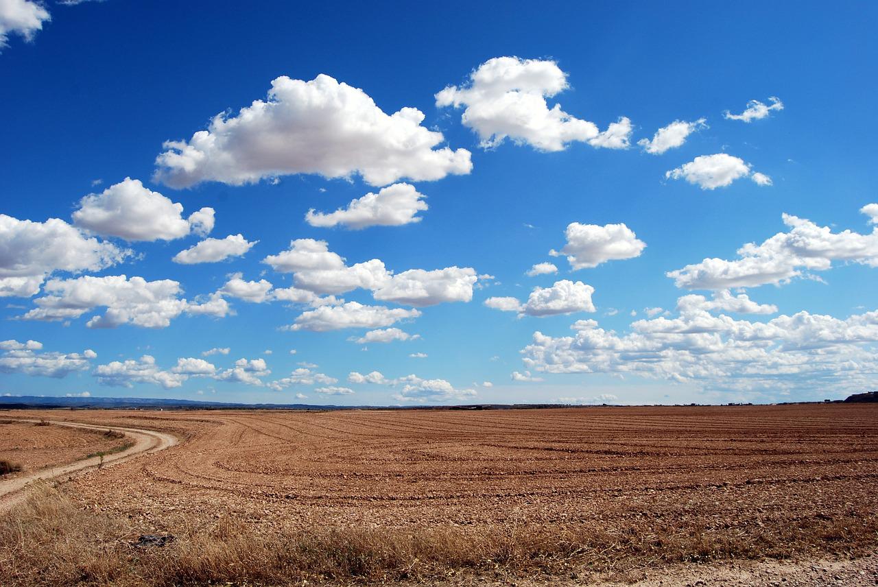A fallow field