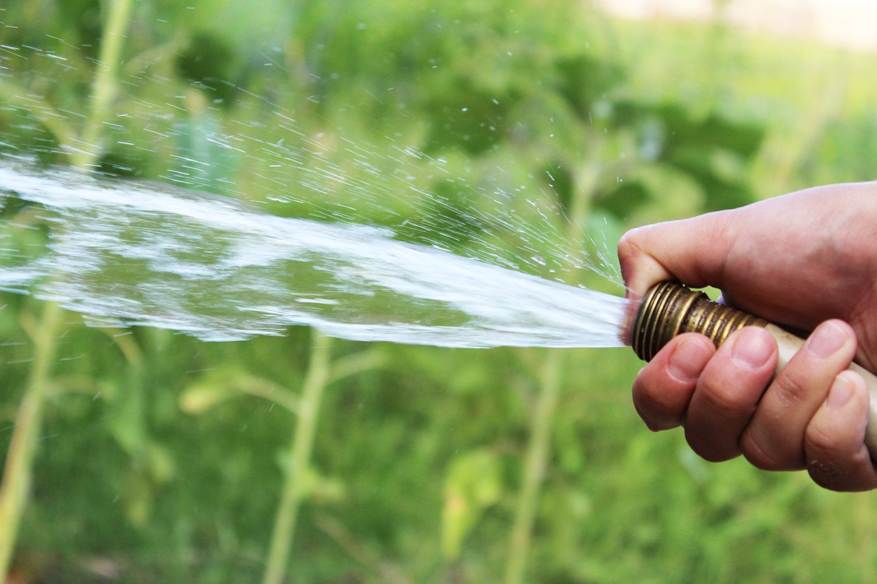 watering grass