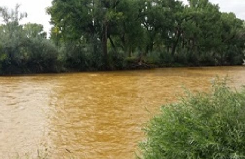 The Gold King Mine disaster in 2015 turned the Animus River yellow.