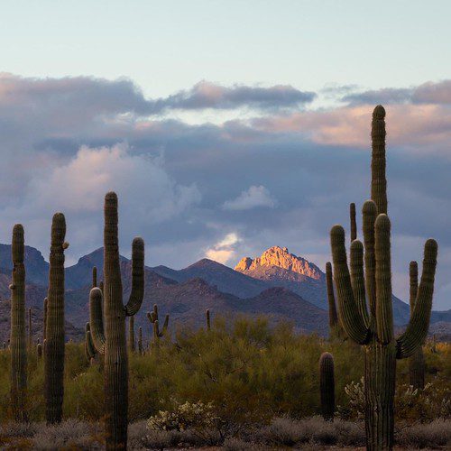 Arizona scenery