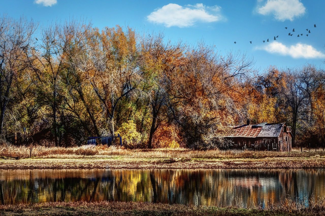 Colorado River scene