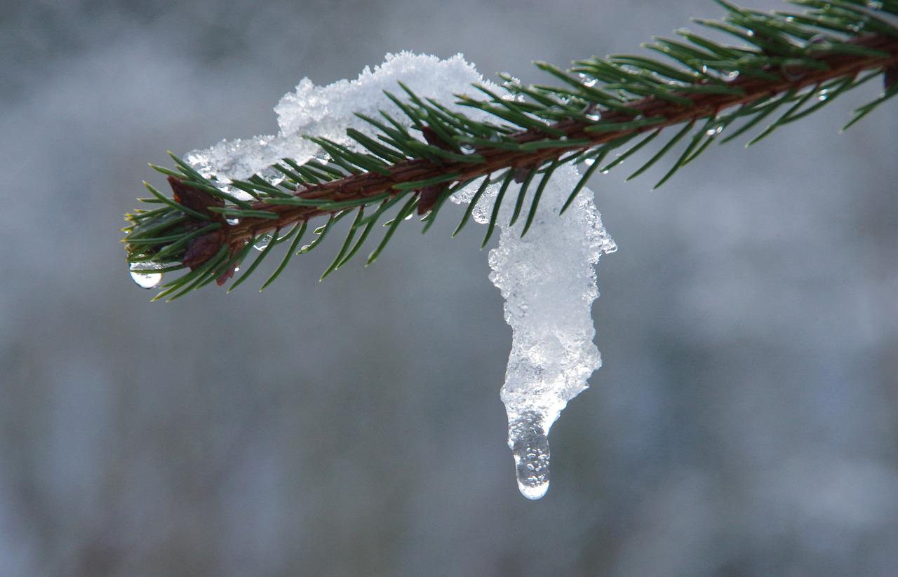 melting snow