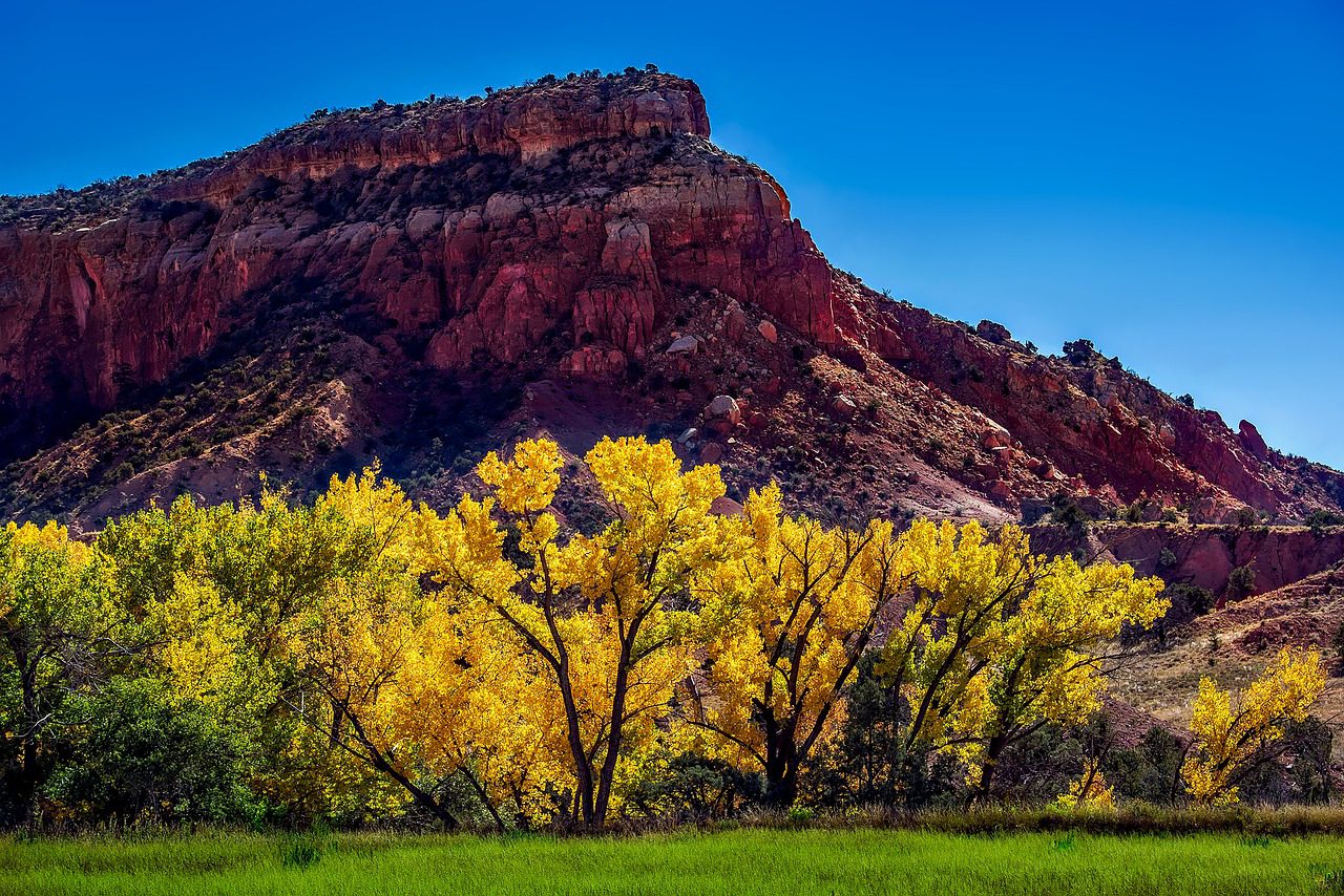 New Mexico scenery