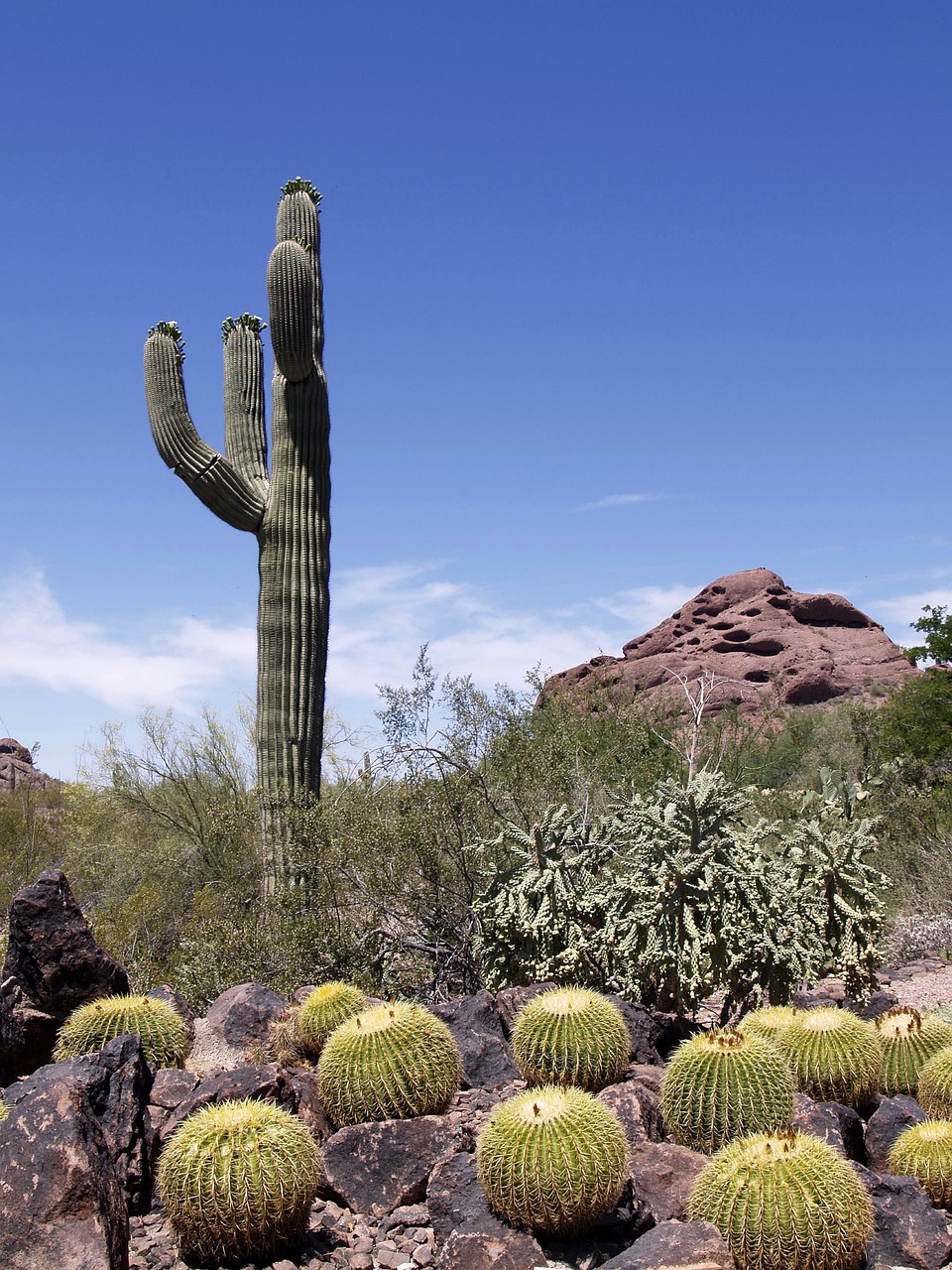 Phoenix area
