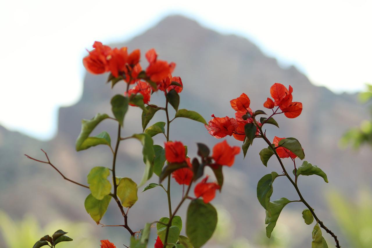 Arizona - Scottsdale