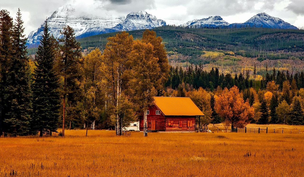 A Colorado mountain cabin scene