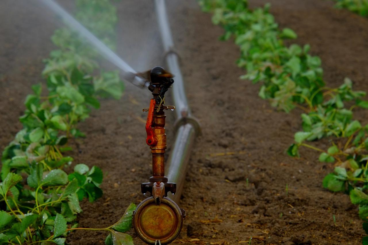 garden irrigation