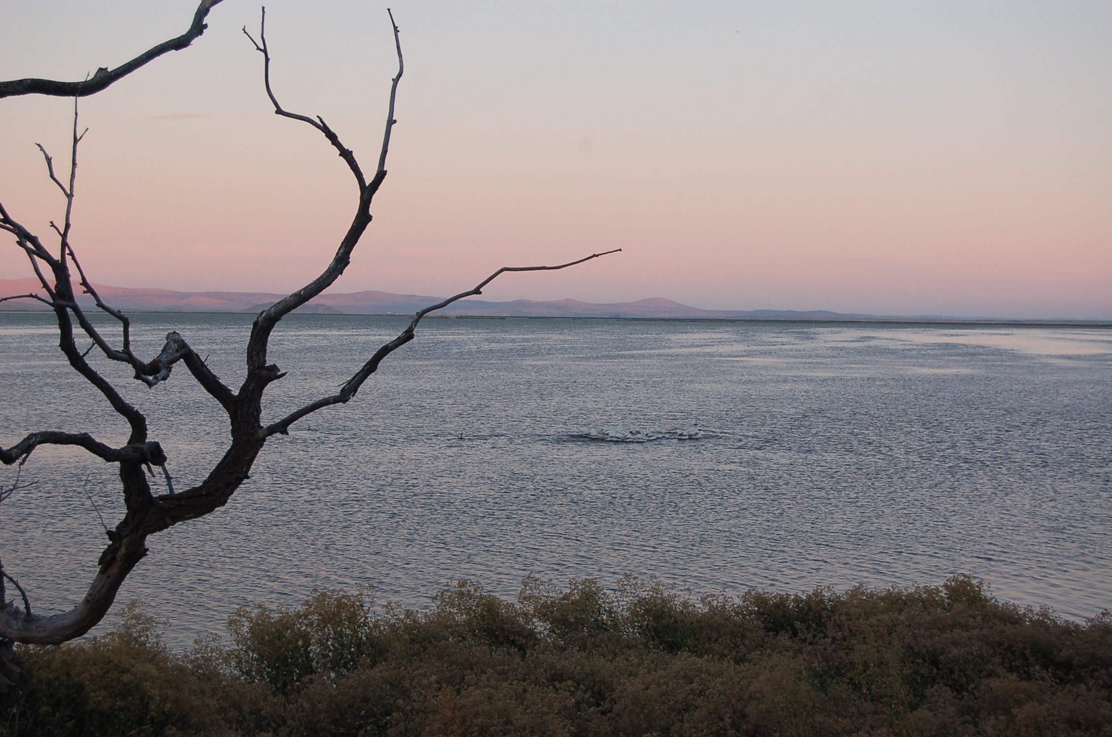 Tule Lake National Wildlife Refuge
