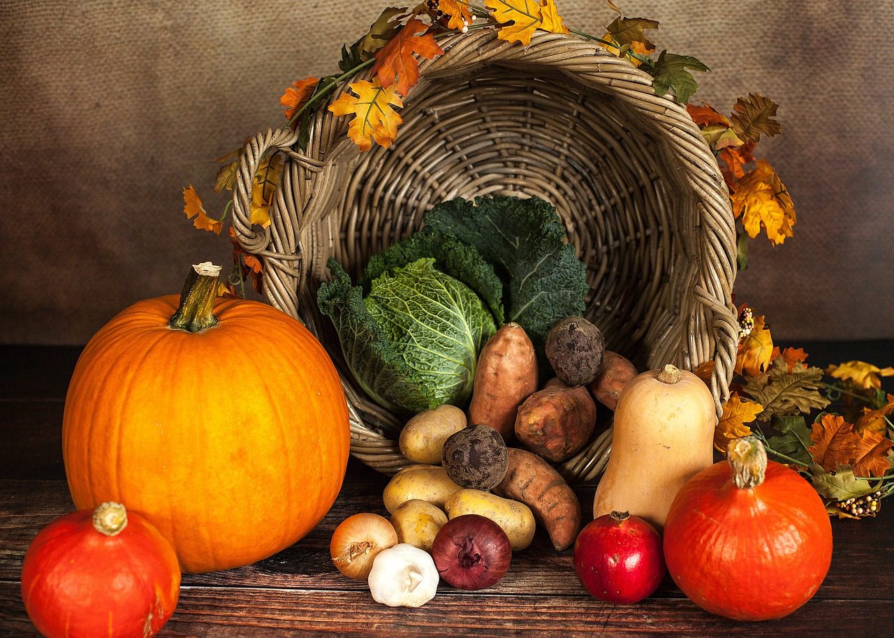 Thanksgiving concept - fall harvest
