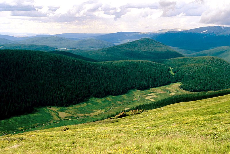 Headwaters of the Poudre River