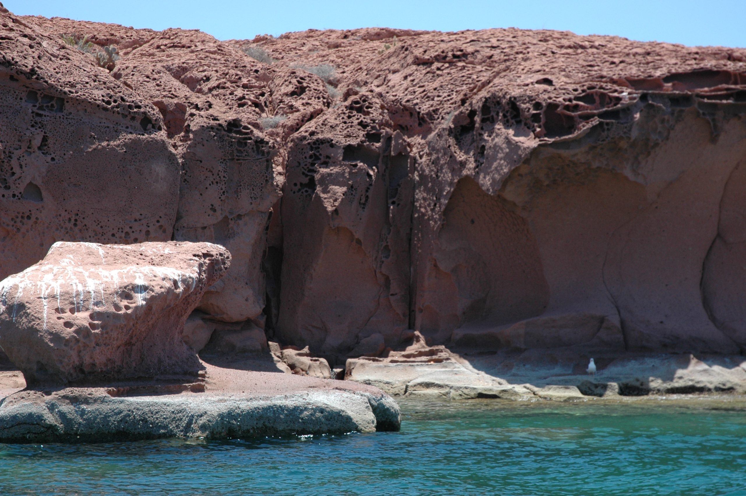 Sea of Cortez