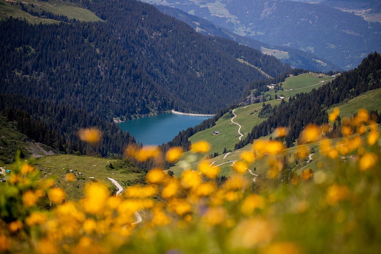 A generic image of a dam
