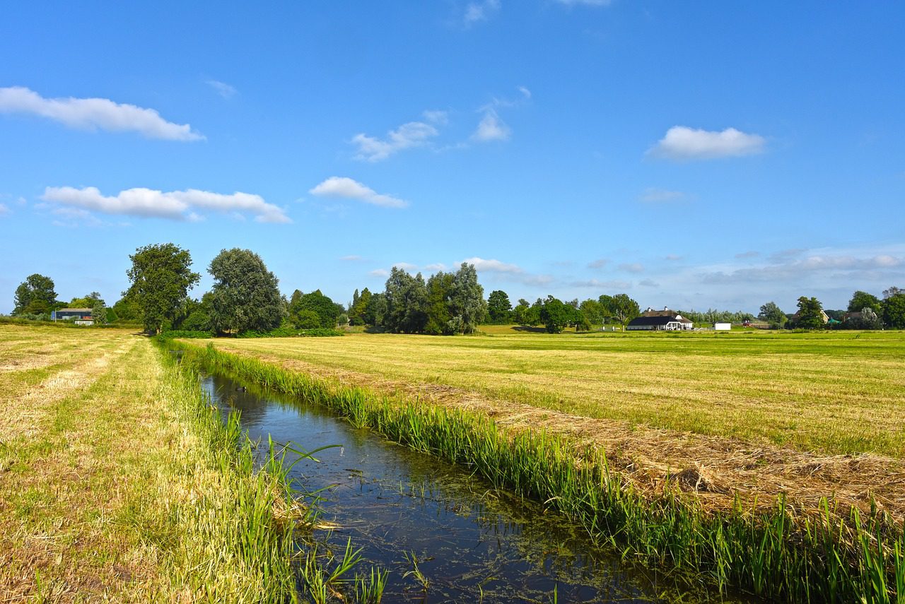 An irrigation ditch