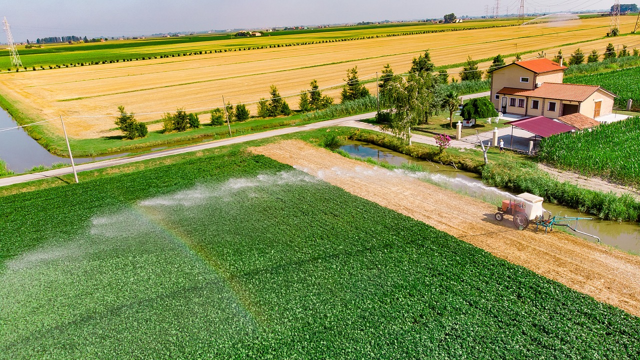 A farm with irrigated fields