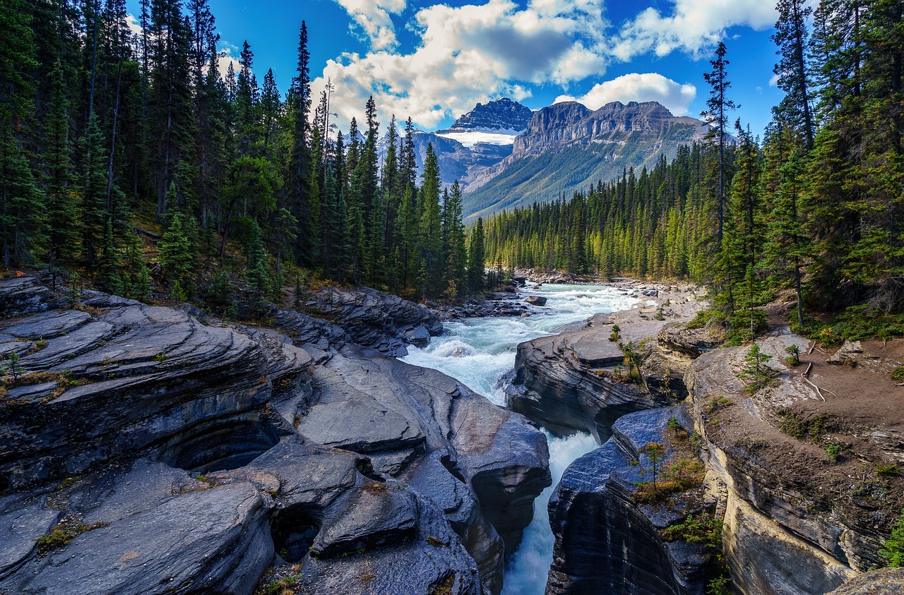 Picture of a pristine mountain stream