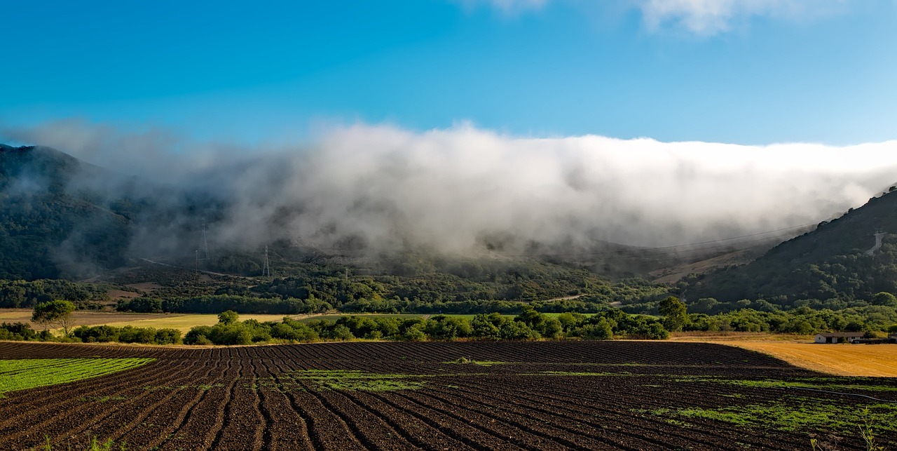 A large farm with clouds on the horizon.