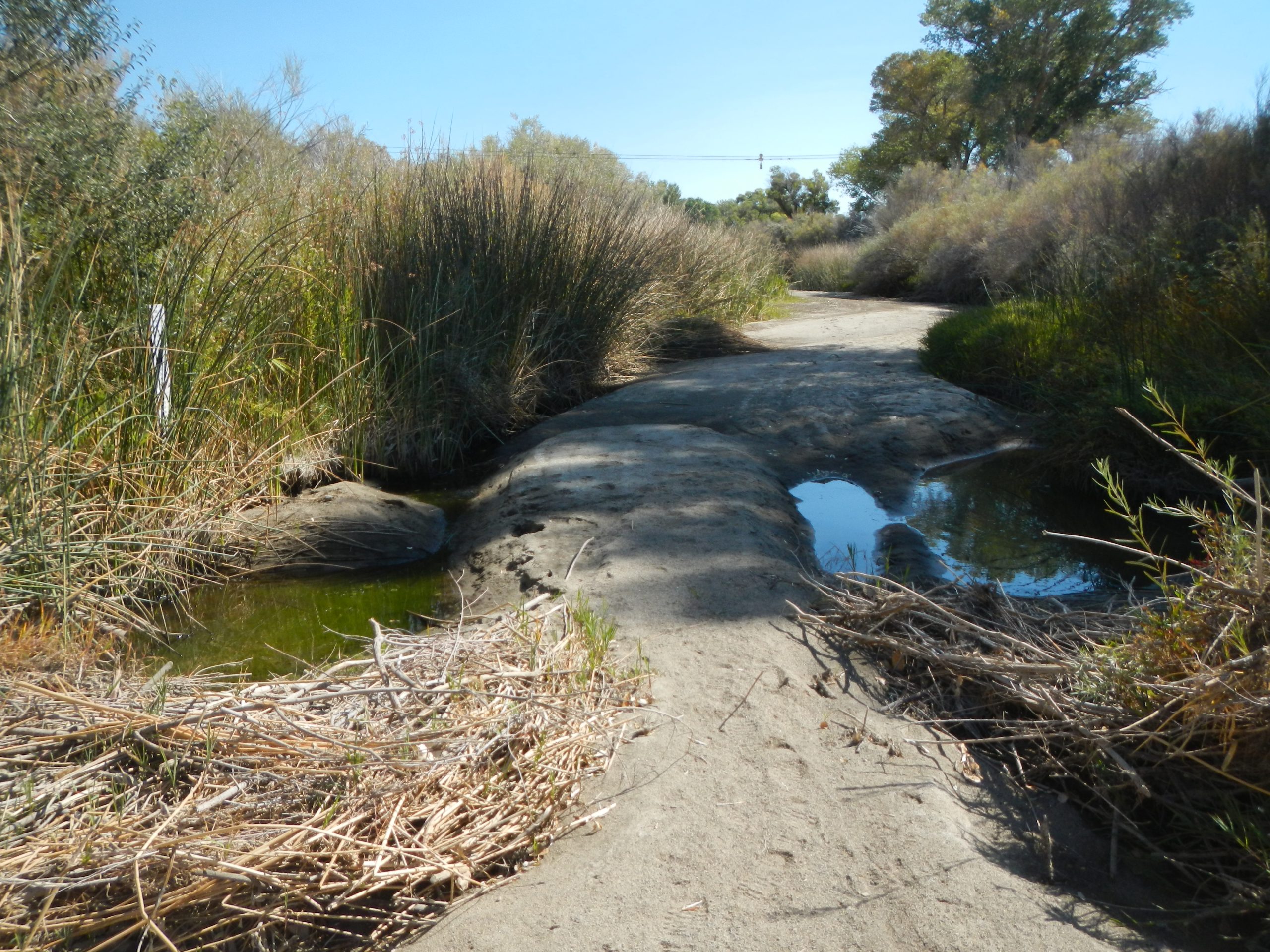 The Wabuska Stream Gage, Walker River