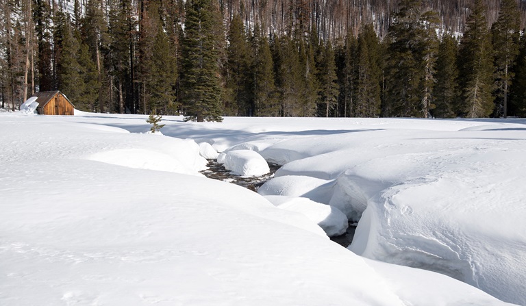 Snow in the Sierra Nevada mountains