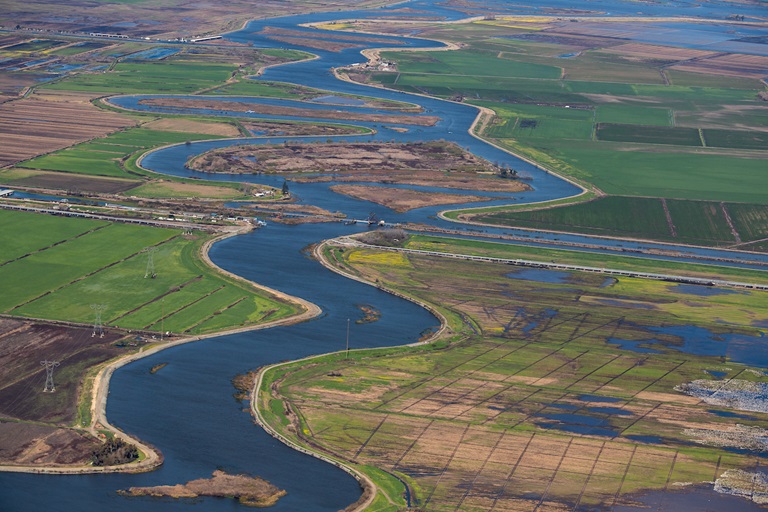 California's Delta