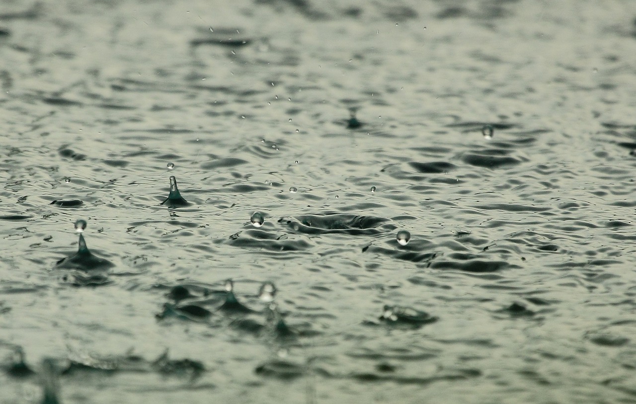 A picture of rainwater collecting and pooling.