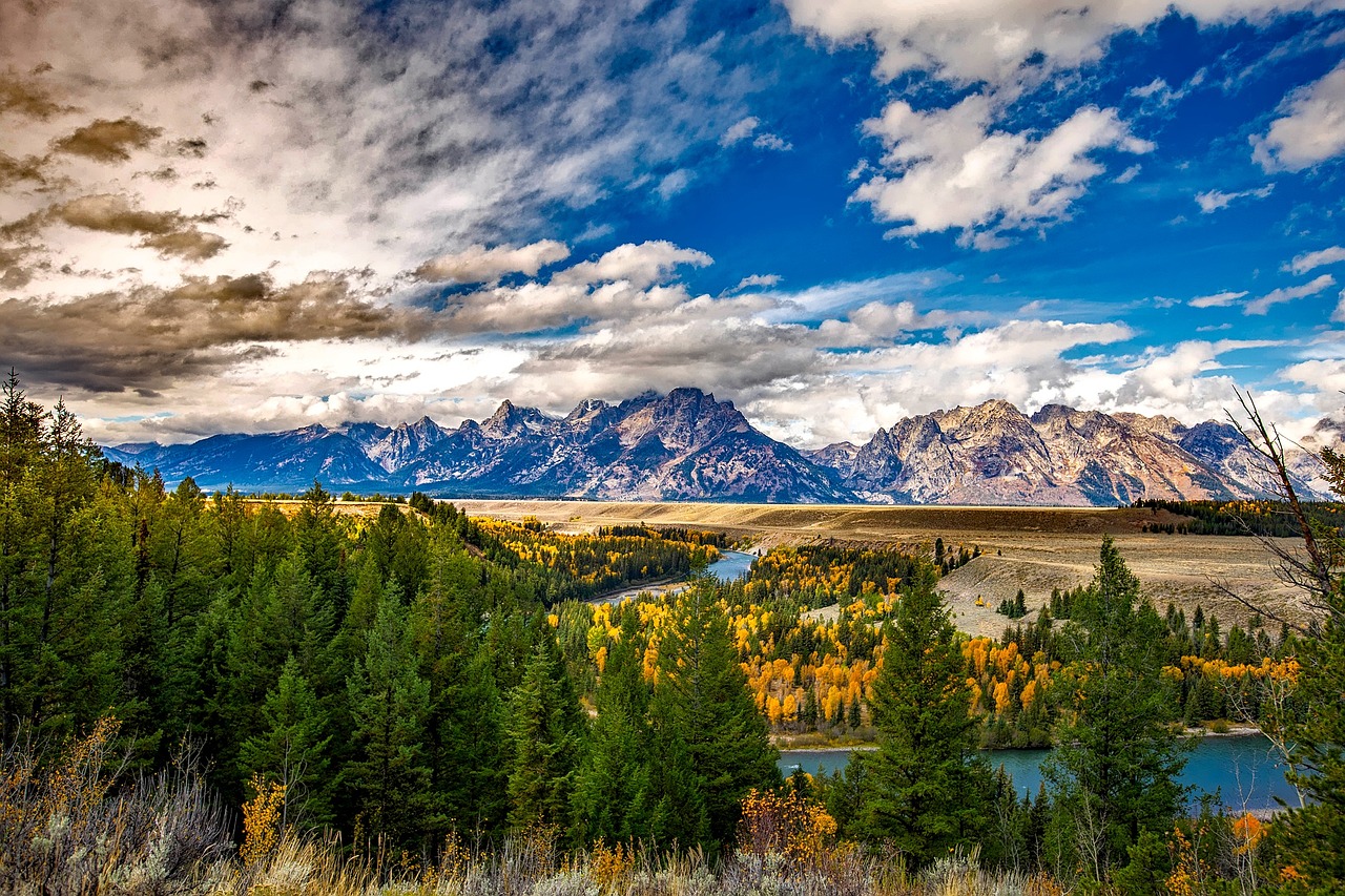 An image of American wilderness area
