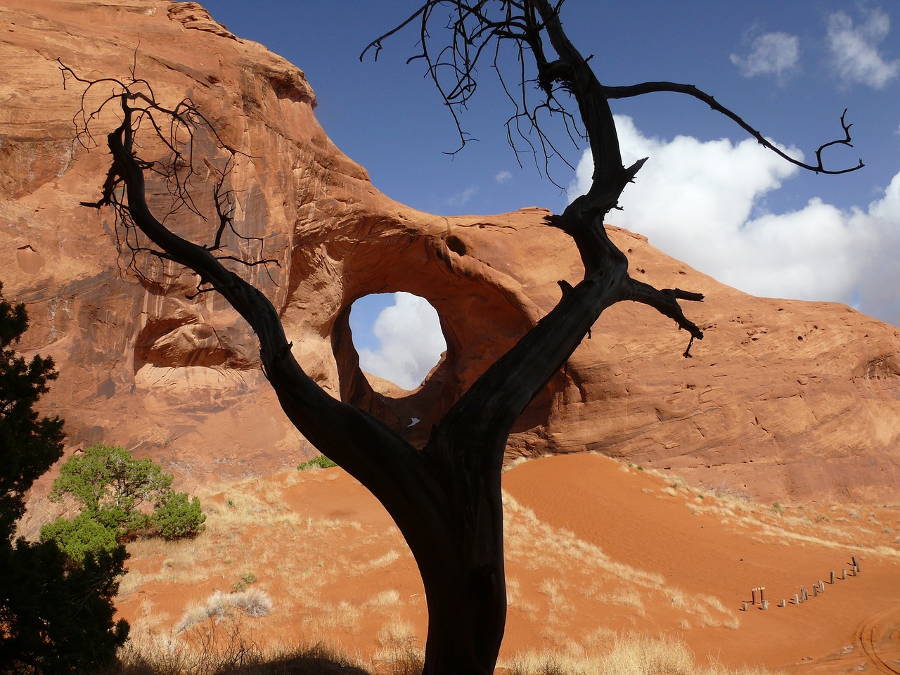 A clever image of a Utah wilderness scene.