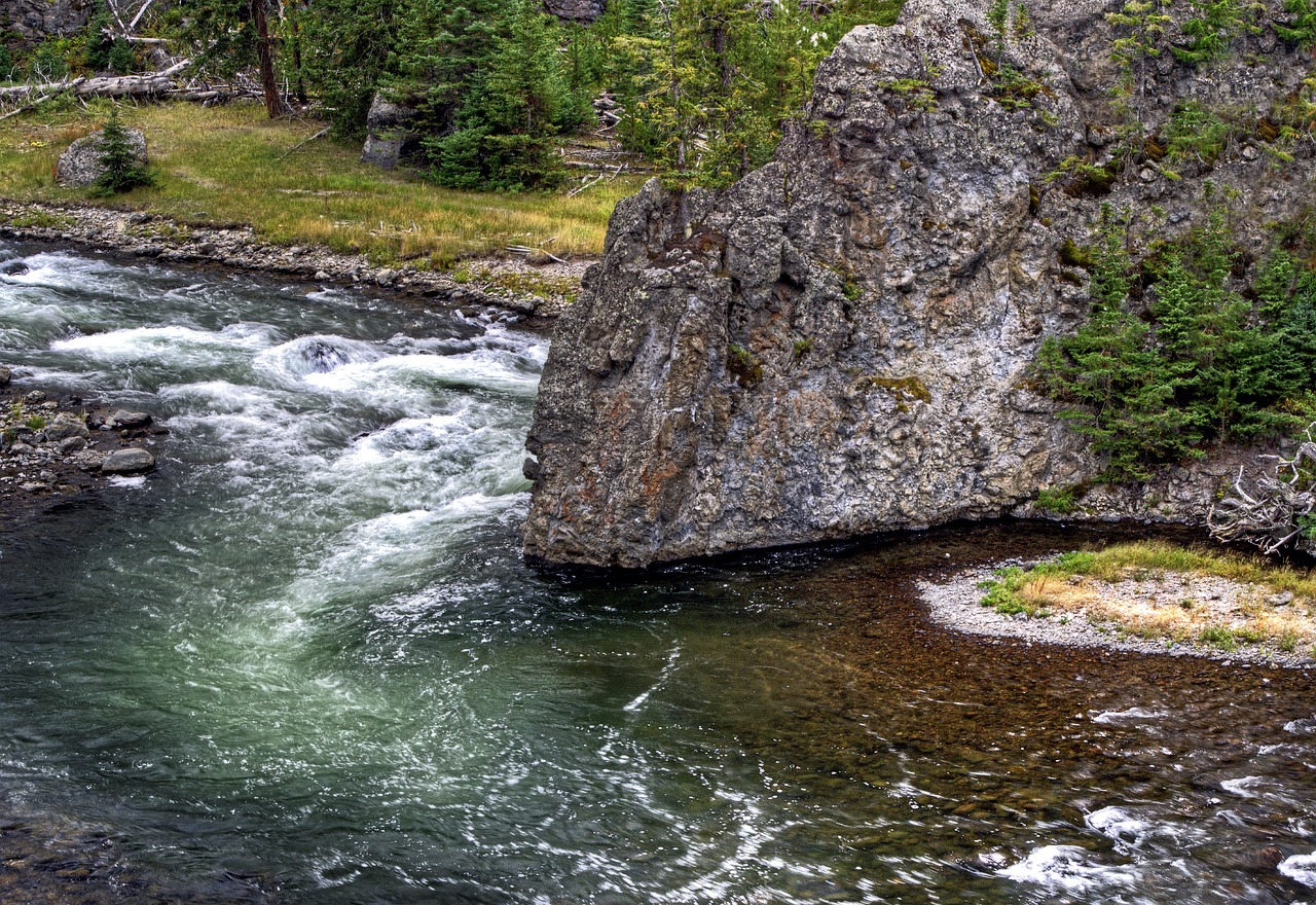 Wyoming fish habitat