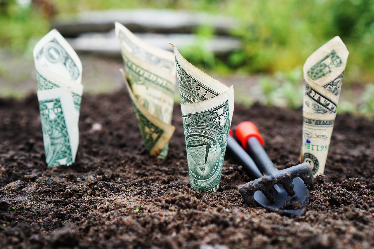 Image depicting growing investments