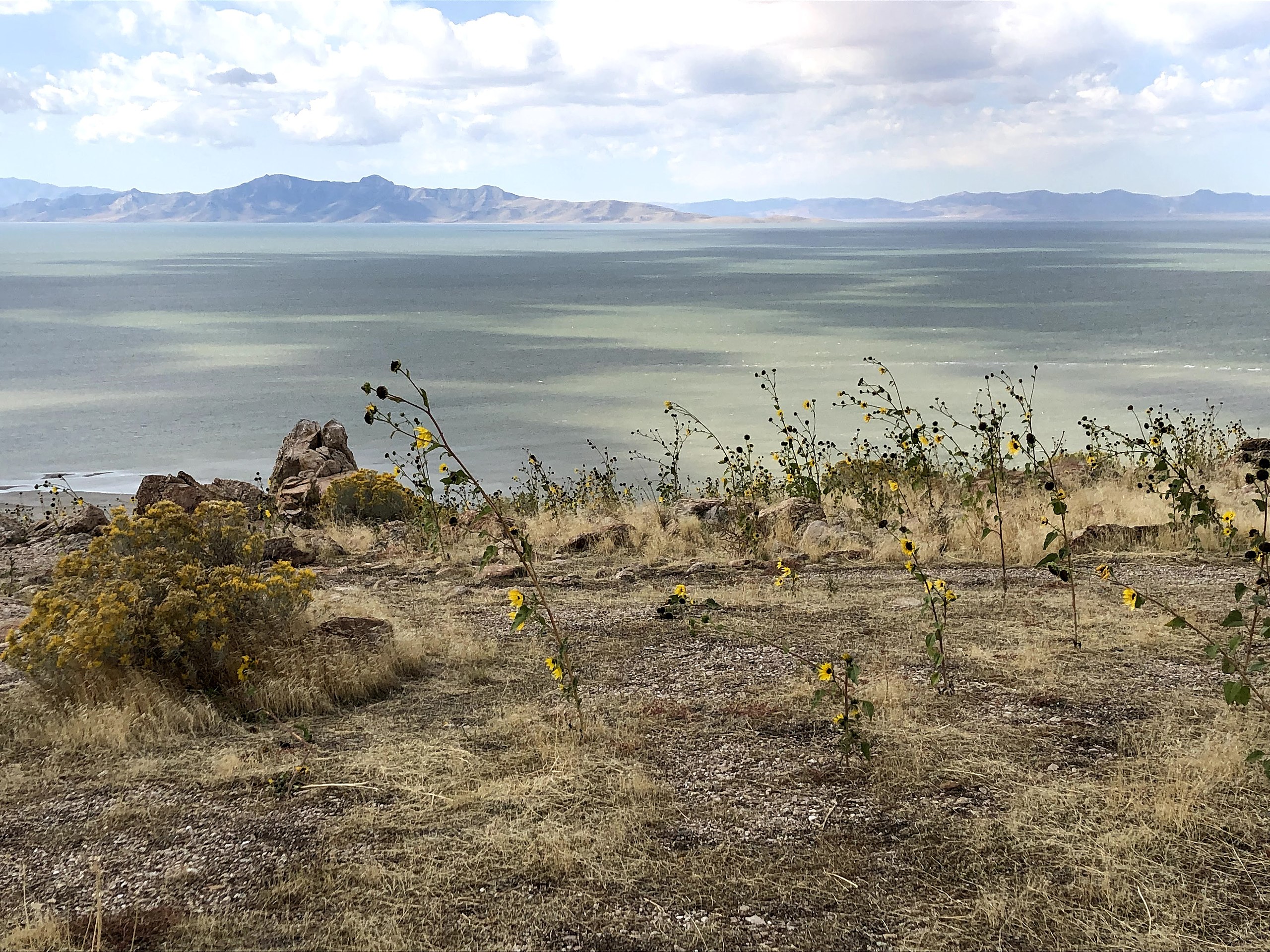 The Great Salt Lake