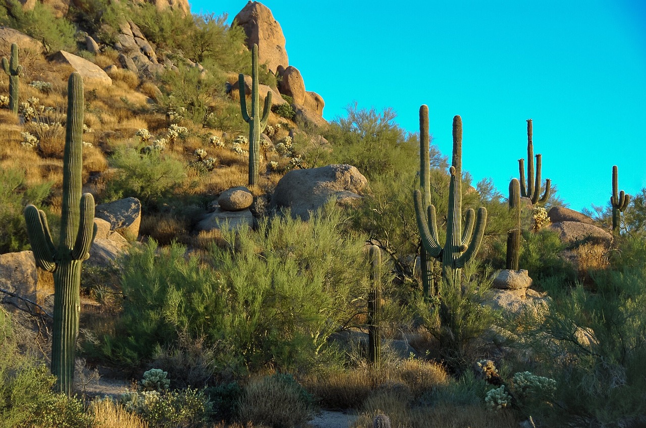 Foothills near Scottsdale