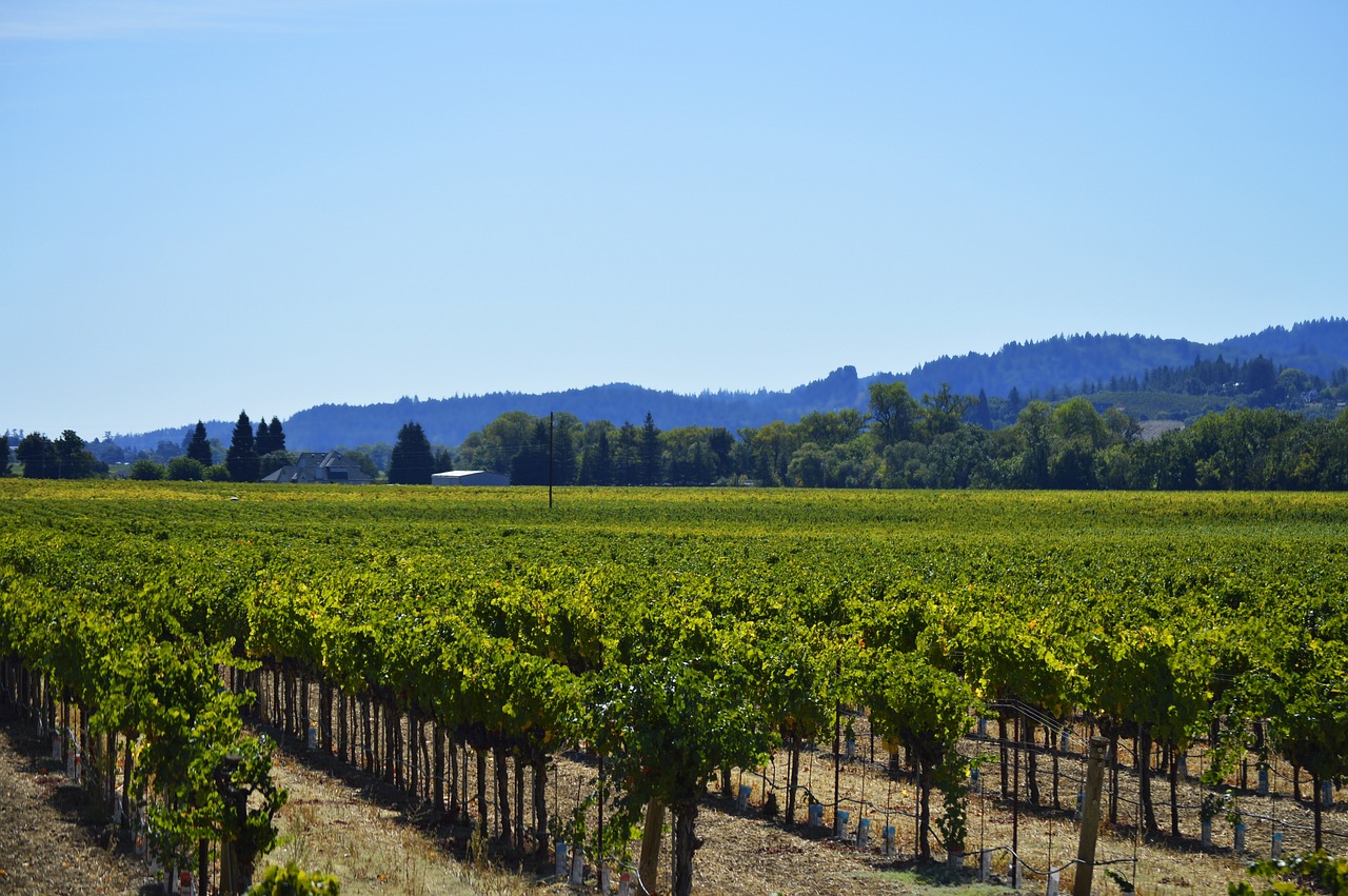 California agriculture