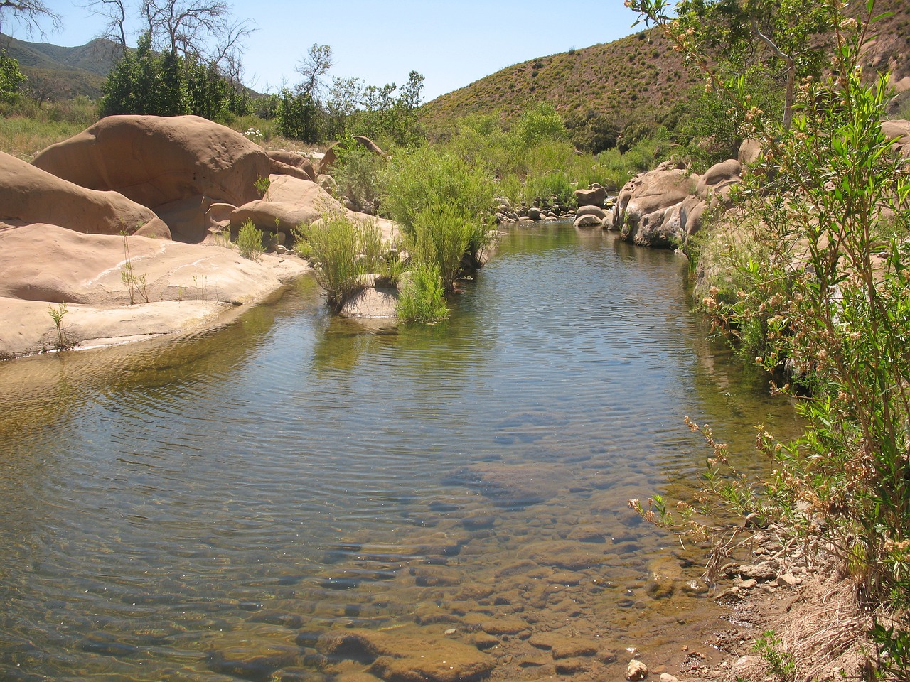 A stream in California