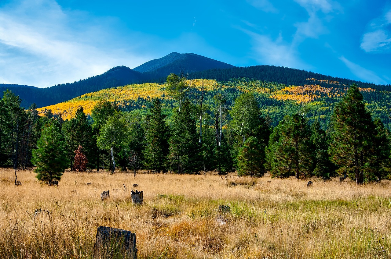 High country in rural Arizona