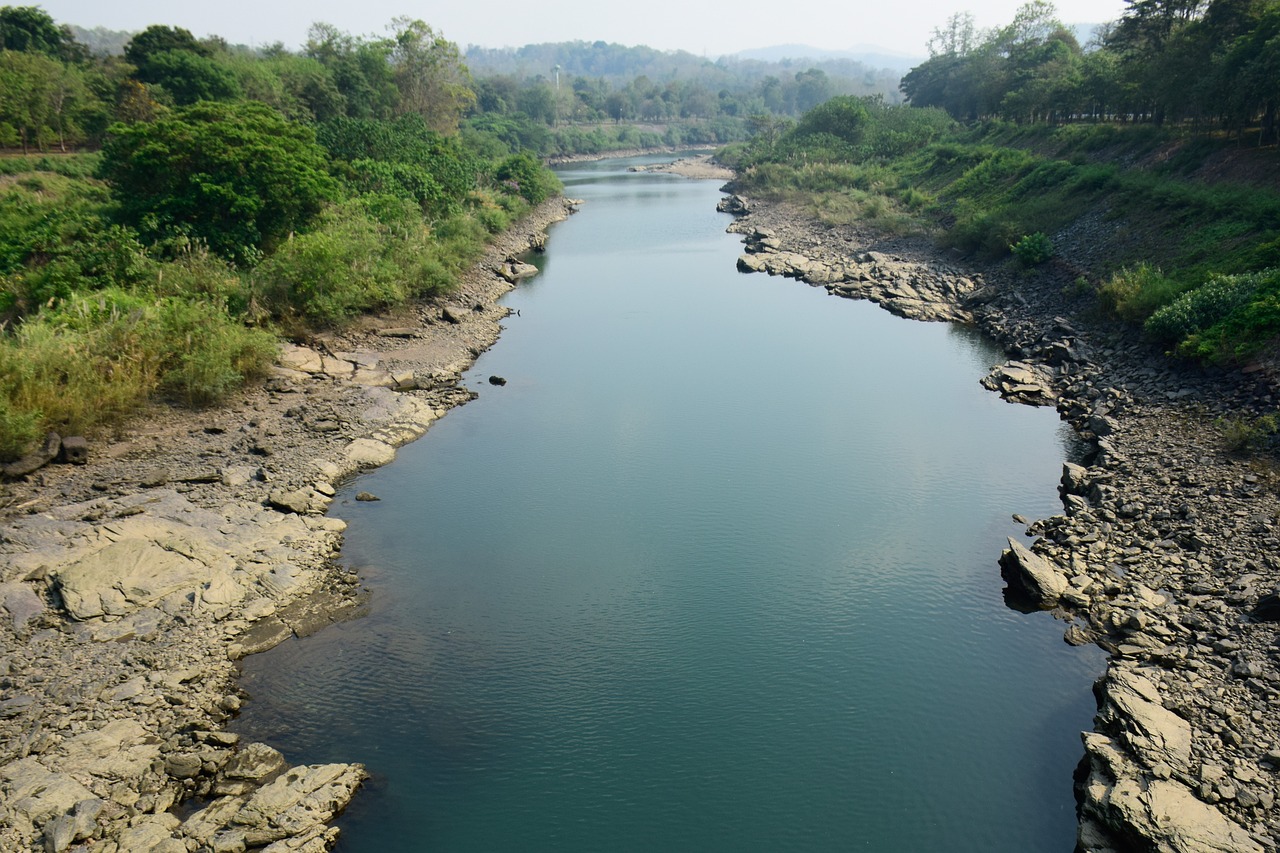 Surface water diversions subject to pre-1914 appropriation claims