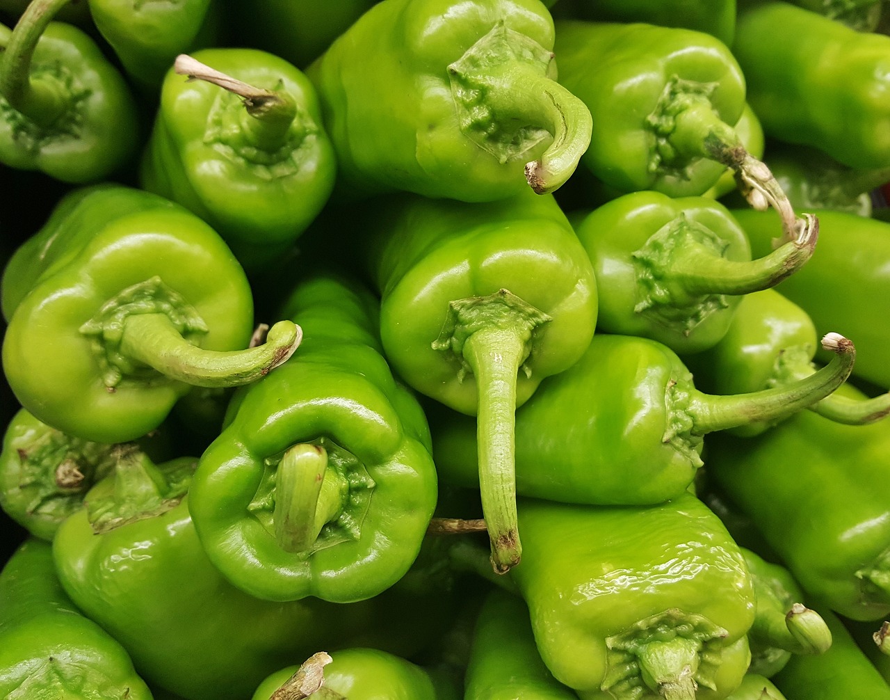 New Mexico agriculture and irrigation produce