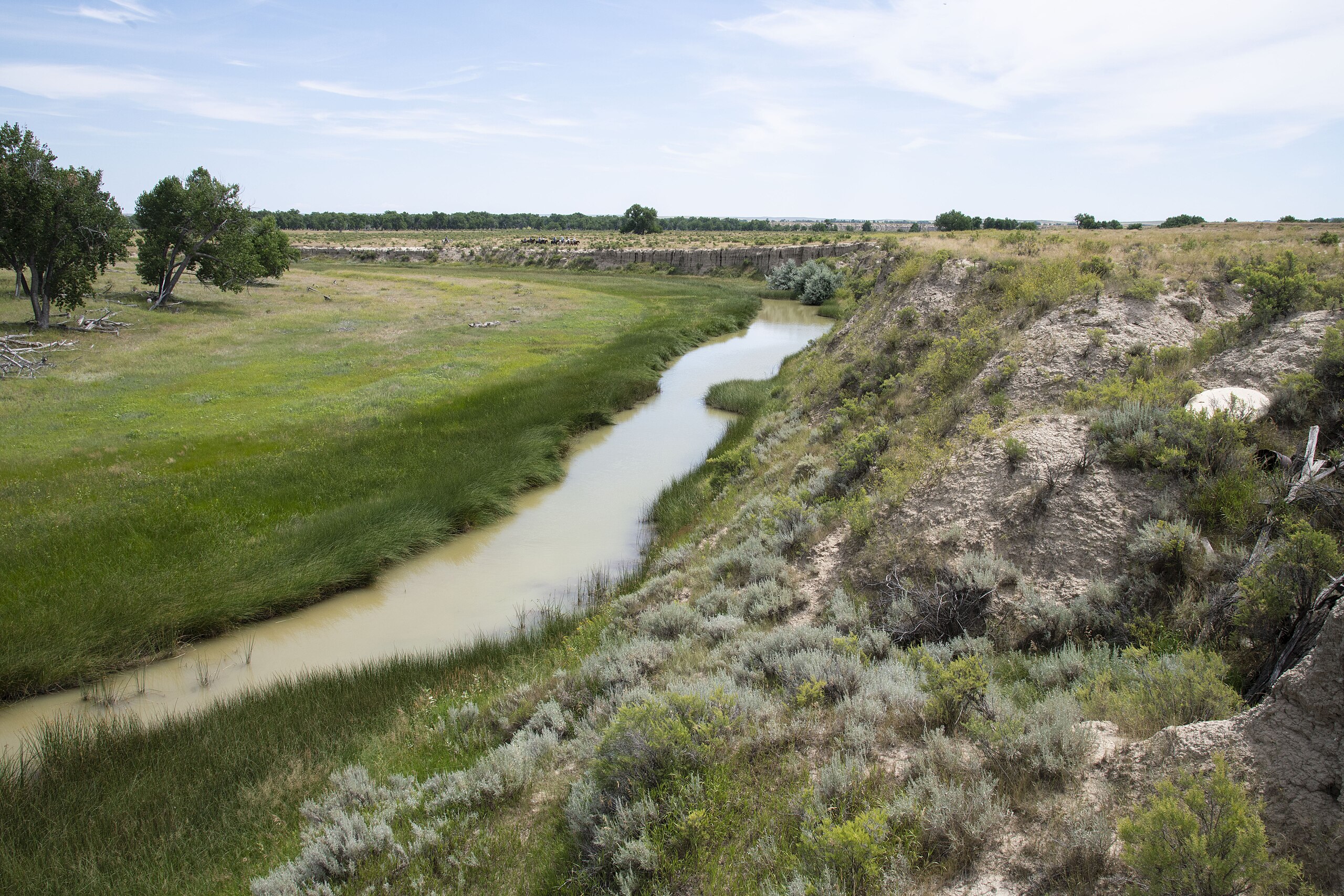 The Cheyenne River near Douglas, Wyoming
