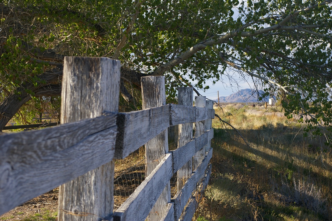 A rural Nevada scene