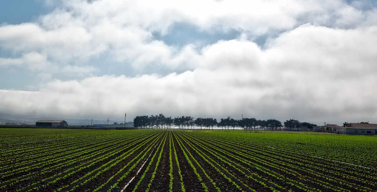 California's groundwater use under scrutiny