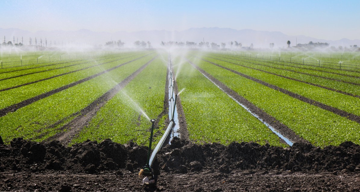 The Imperial Irrigation District reaches a key agreement to save Colorado River water.