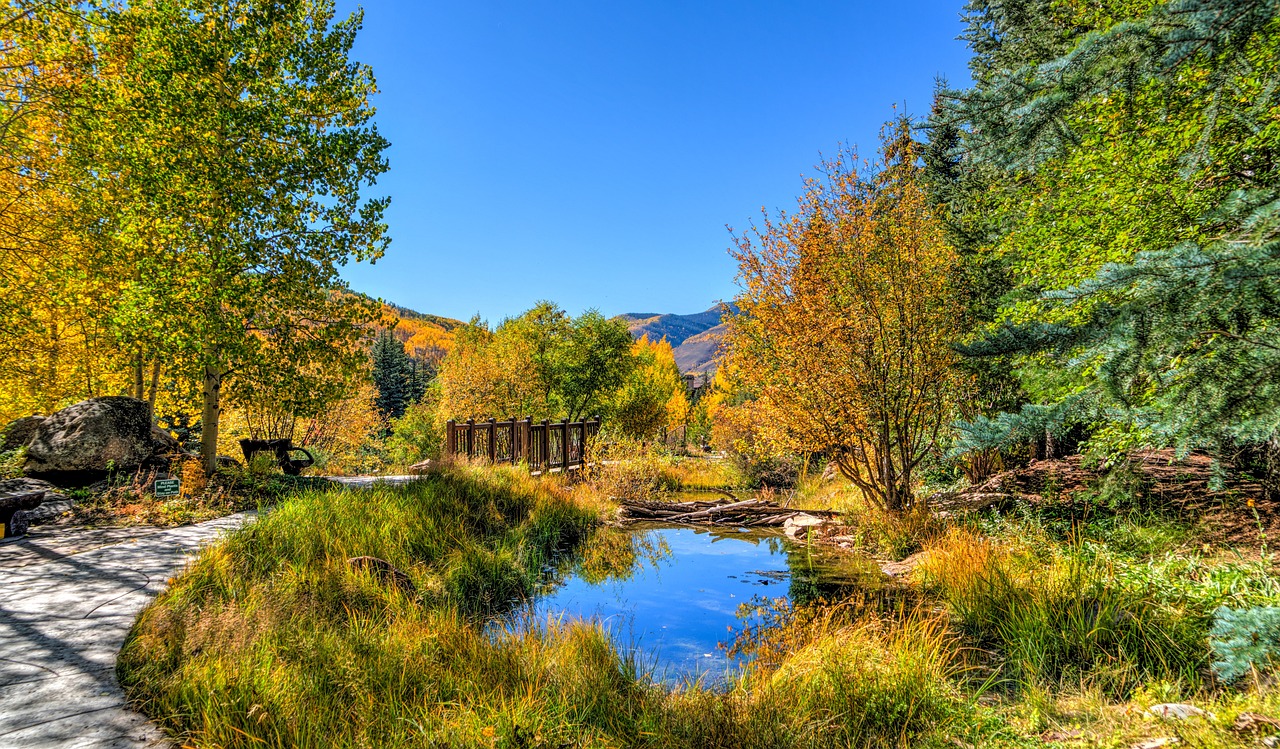 The Sackett decision narrowed the definition of wetland in Waters of the U.S.
