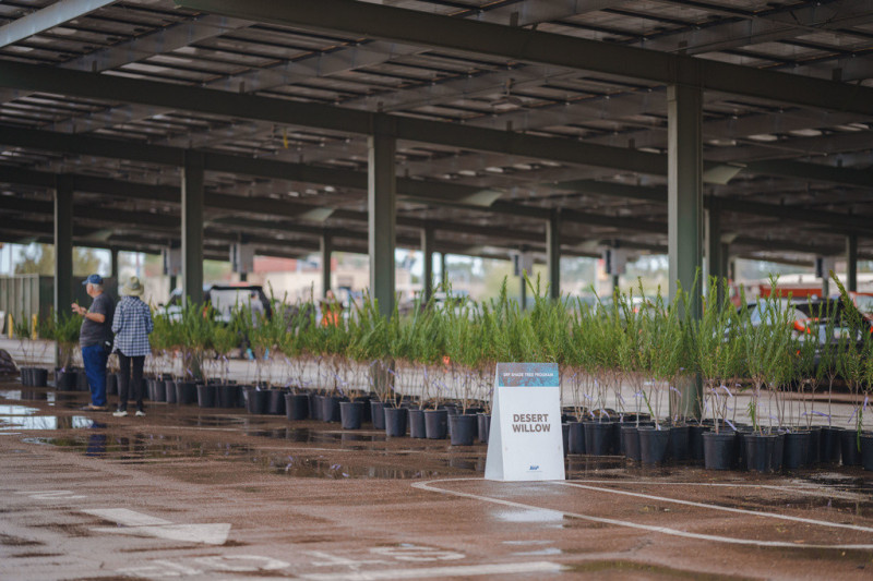 SRP free shade trees pickup station