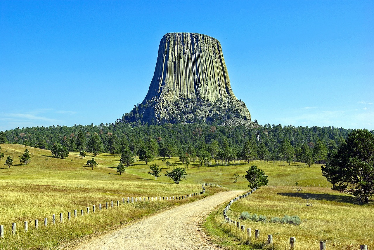 Wyoming icon