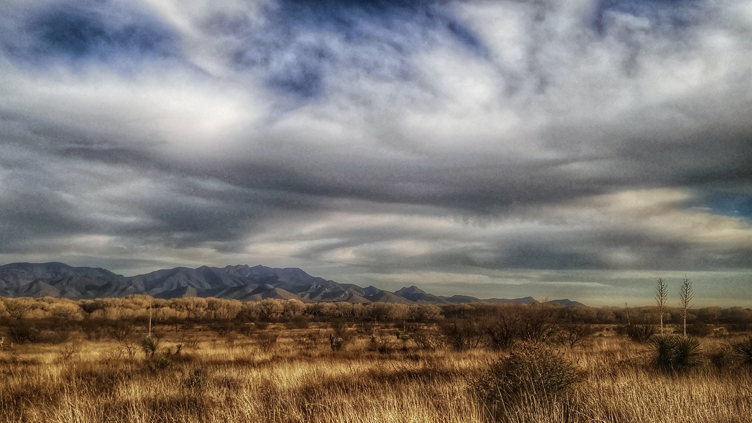 San Pedro River Valley